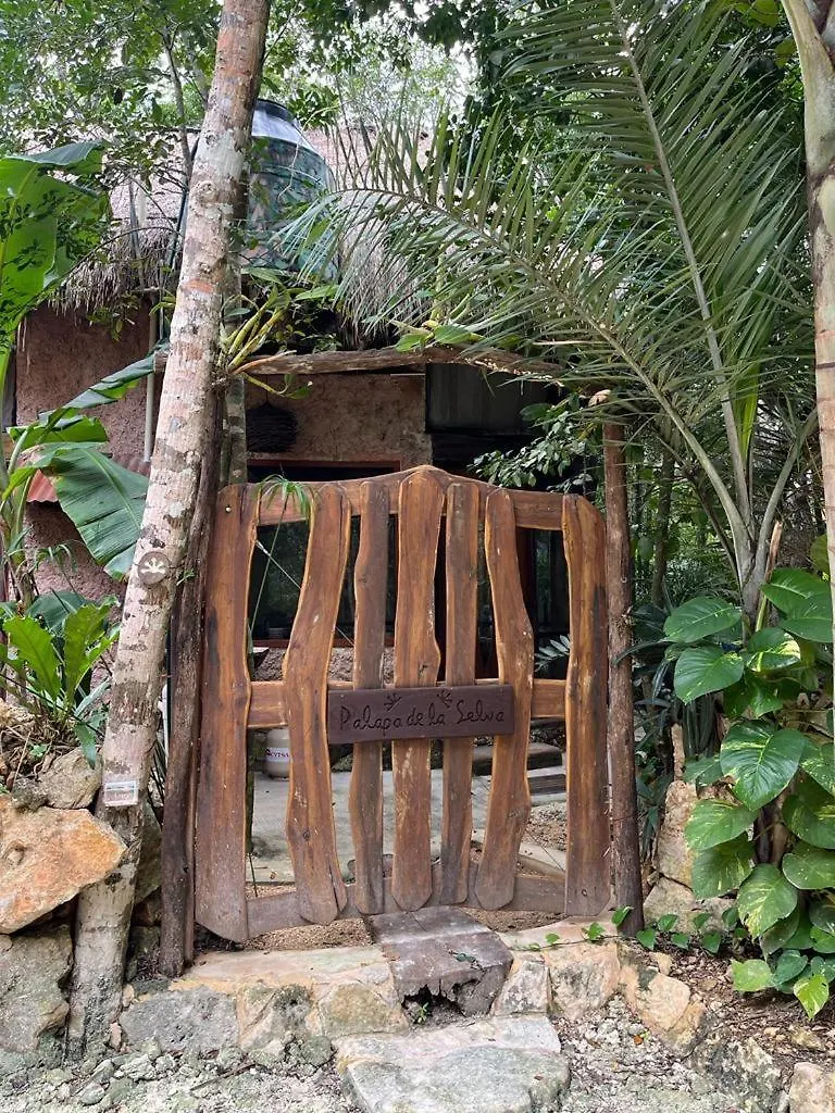 Casa & Palapa De La Selva Villa Playa del Carmen 0*,