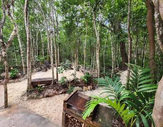 Holiday home Casa & Palapa De La Selva Villa Playa del Carmen