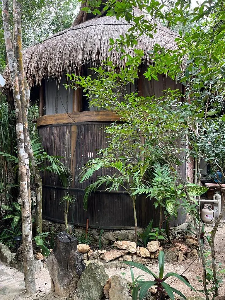 Casa & Palapa De La Selva Villa Playa del Carmen Holiday home