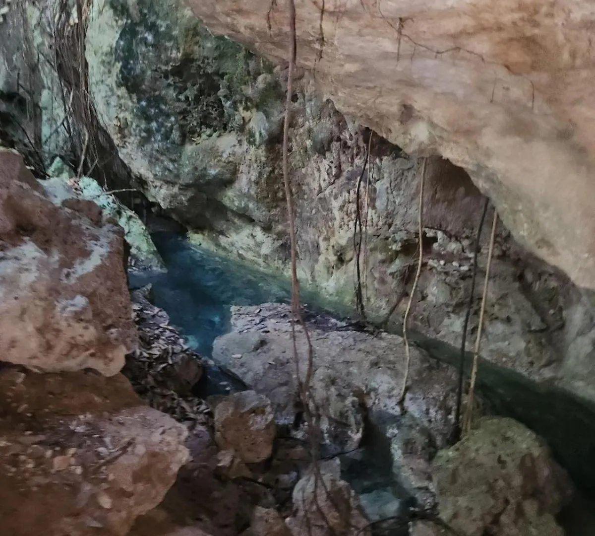 Casa & Palapa De La Selva Βίλα Πλάγια Ντελ Κάρμεν Σπίτι διακοπών