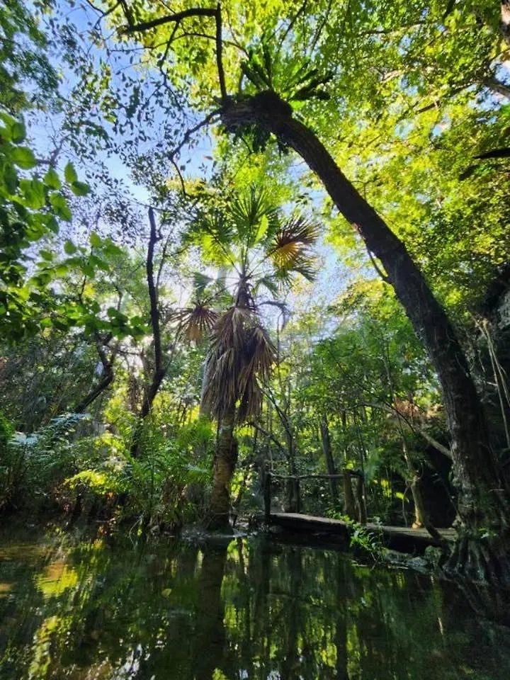Casa & Palapa De La Selva Βίλα Πλάγια Ντελ Κάρμεν