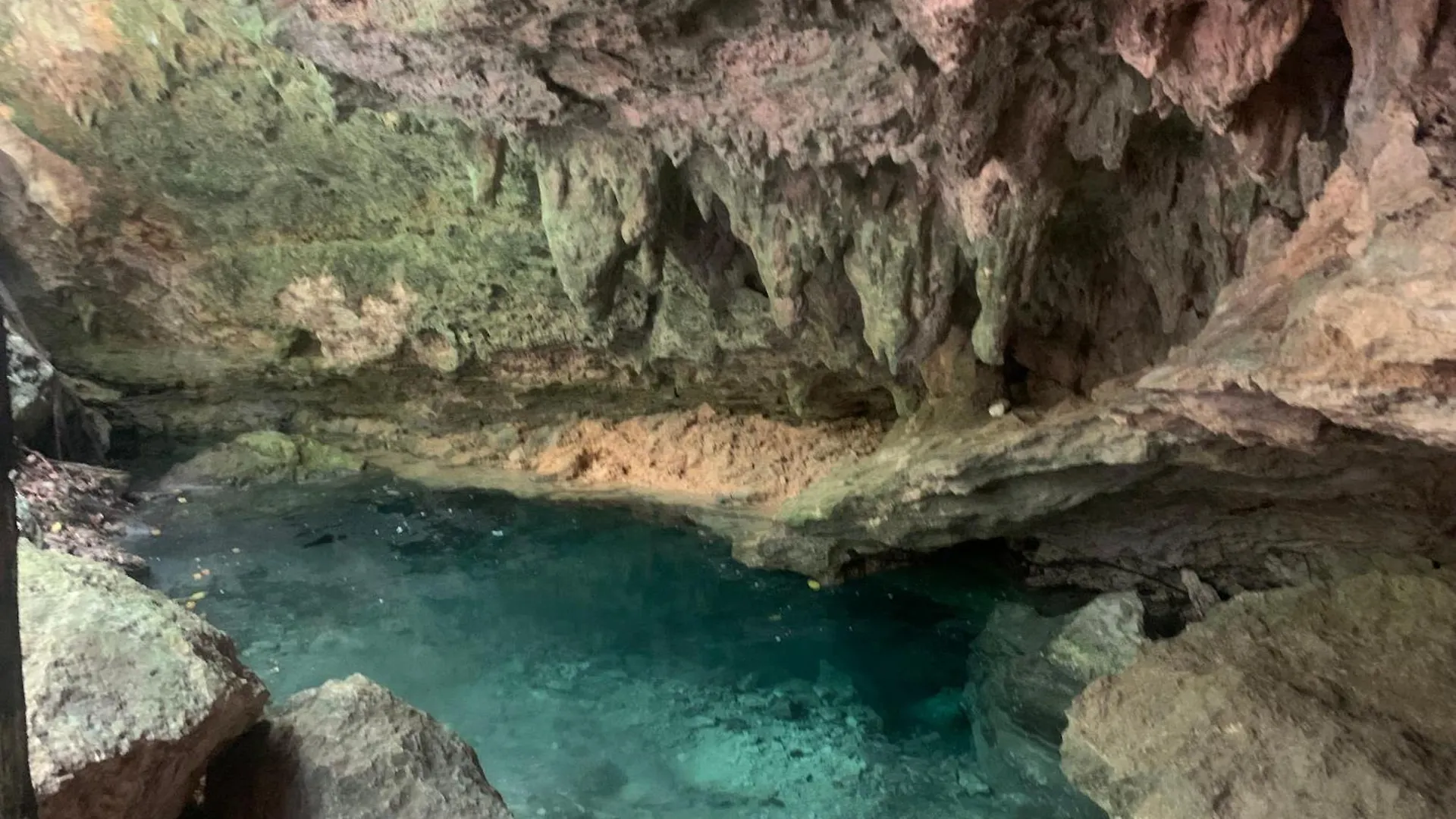 Σπίτι διακοπών Casa & Palapa De La Selva Βίλα Πλάγια Ντελ Κάρμεν