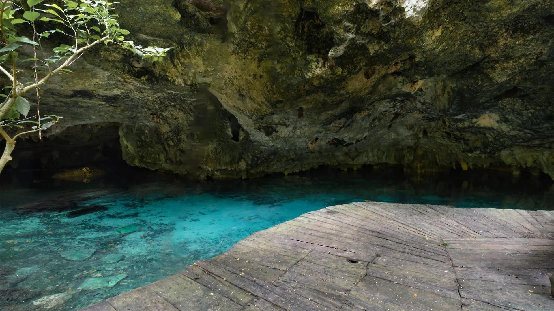 Casa & Palapa De La Selva Βίλα Πλάγια Ντελ Κάρμεν Σπίτι διακοπών